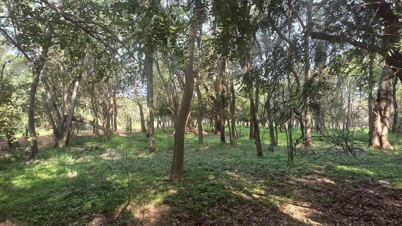 Terreno De 1191 M2 En Surubi´I Club De Campo Trato Directo Con Propietario — foto 4