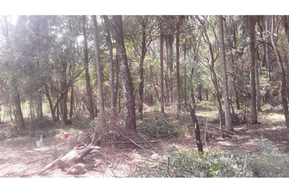 Terreno de 1,492 m2 en San Bernardino — foto 4