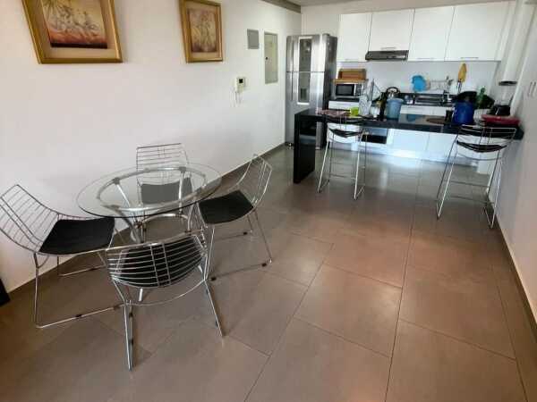 Hermoso departamento amoblado de 3 dormitorios en ciudad nueva, foto 2