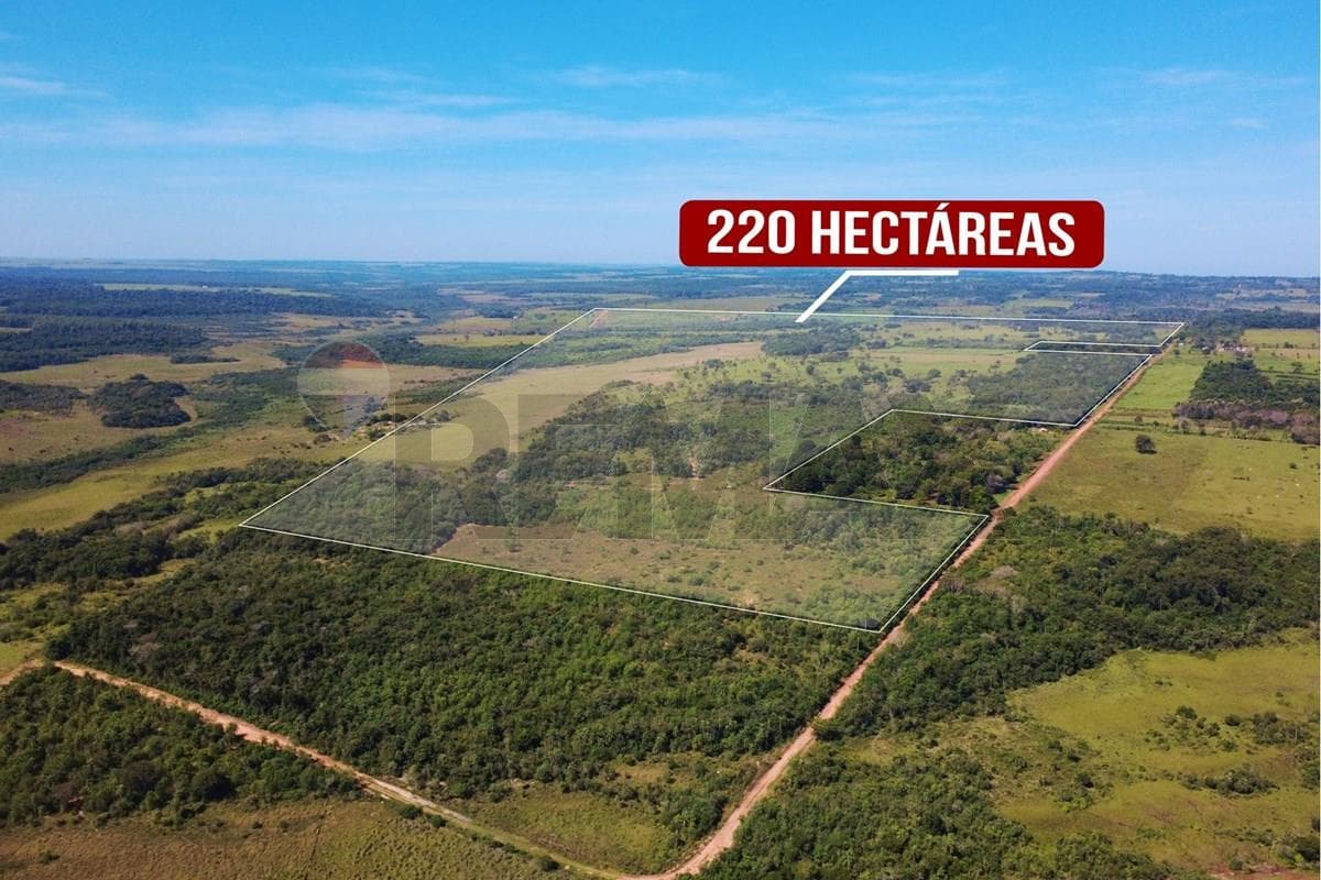 Campo en san pedro san estanislao, foto 2