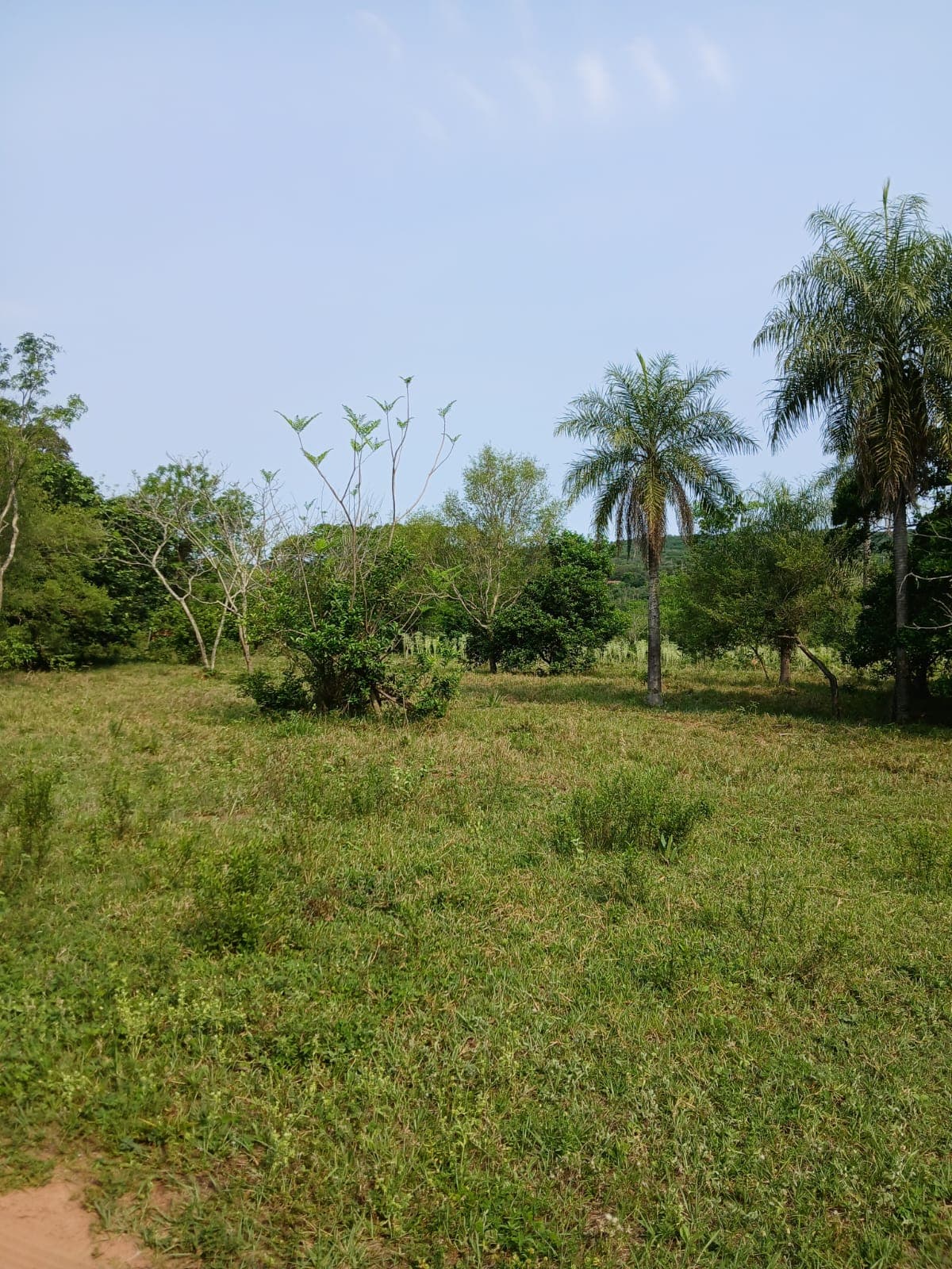 Terreno en la ciudad de altos, foto 3