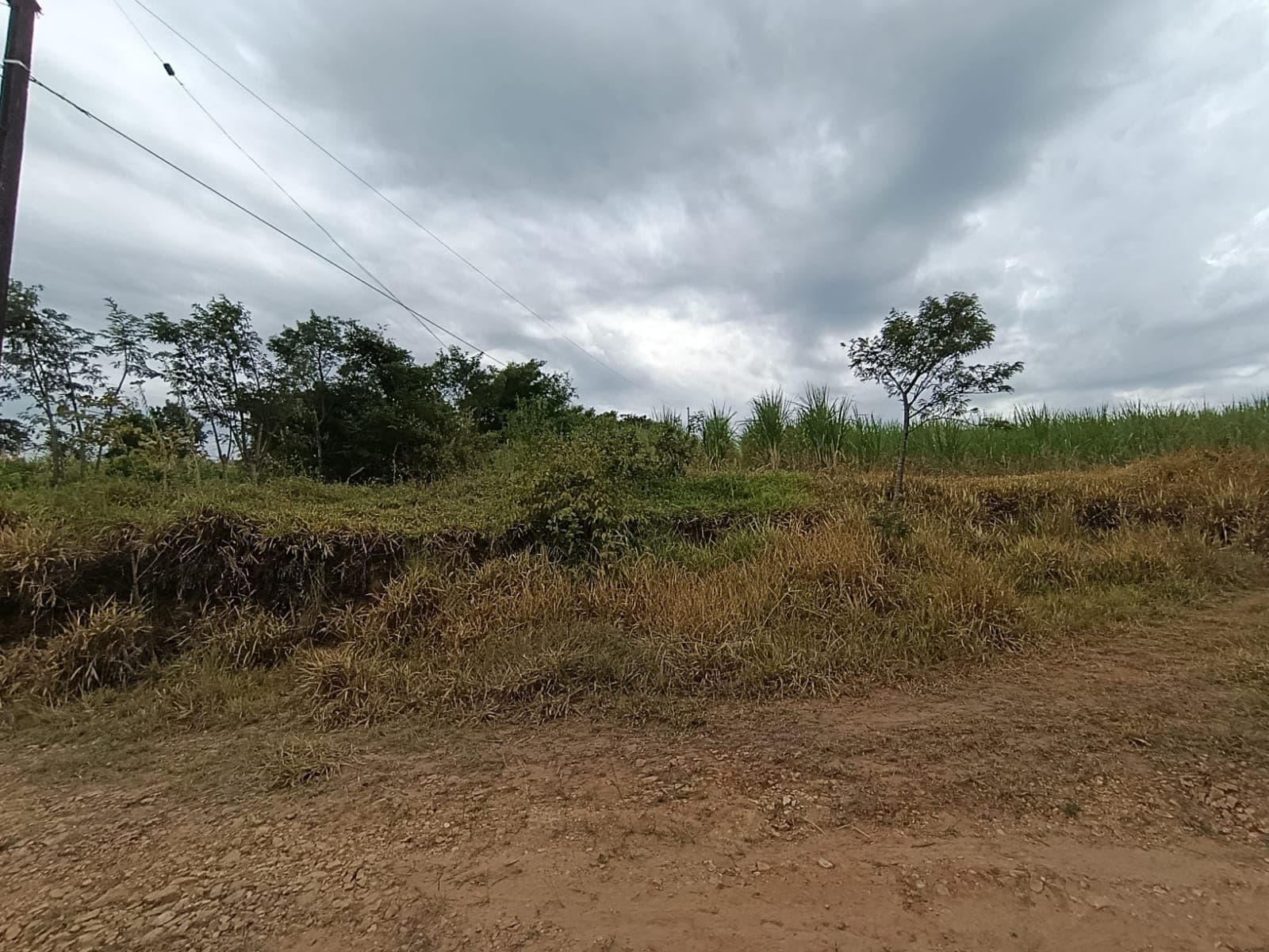 En Venta – 5 Hectáreas En Caaguazú — foto 1