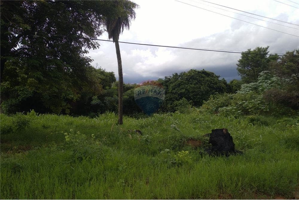 Terreno los jardines, Luque