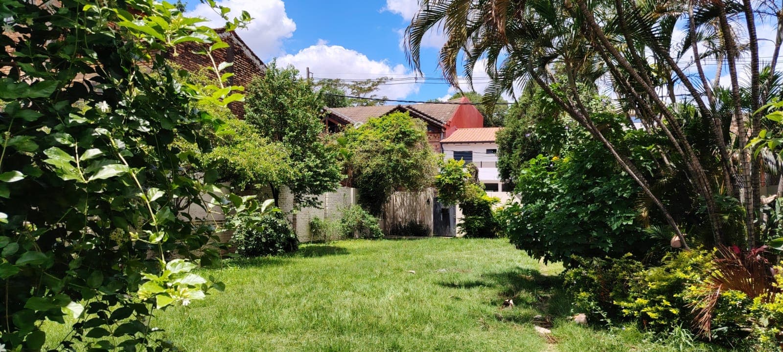 Alquilo casa en barrio los laureles