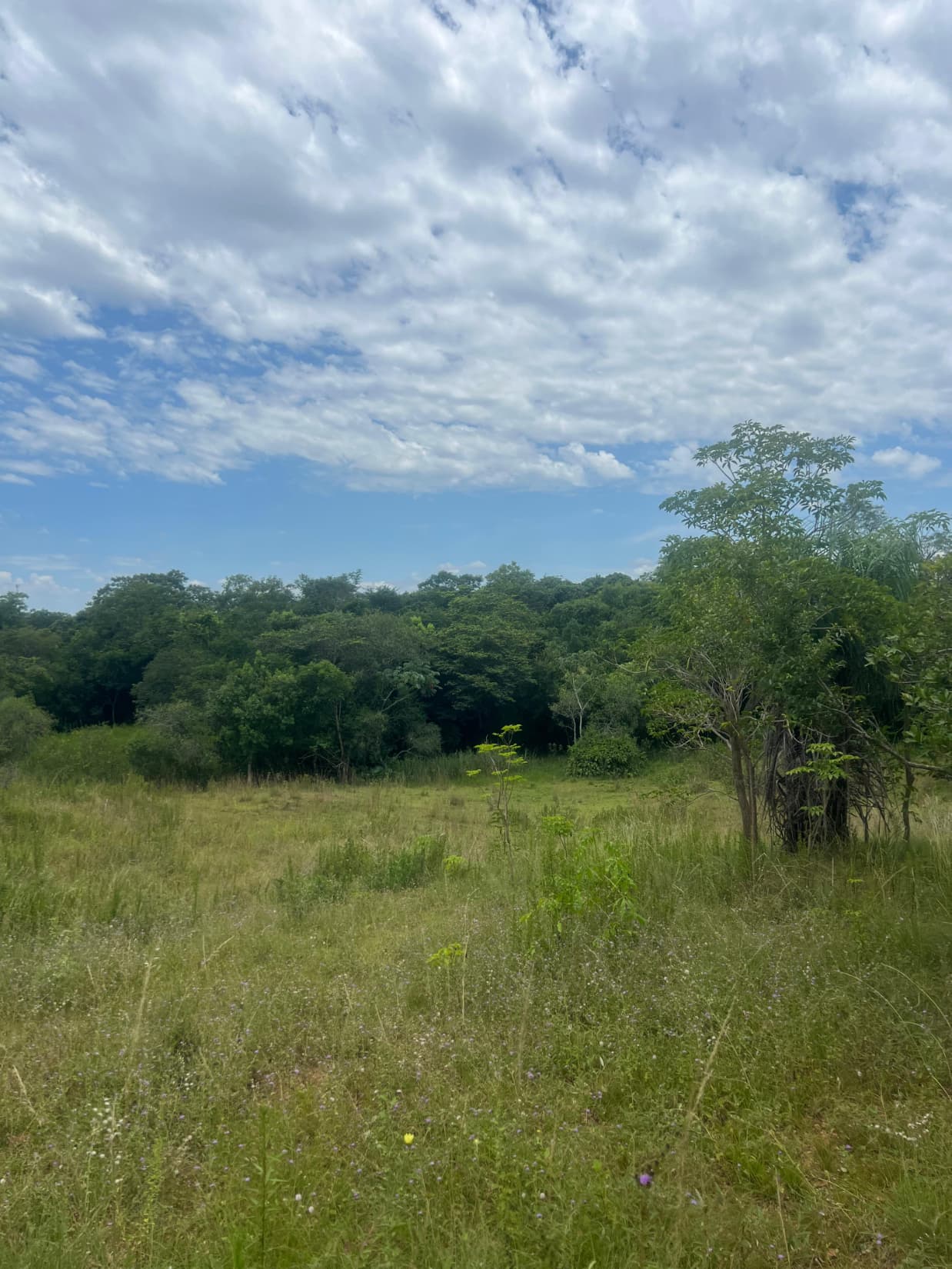 Oportunidad real de inversión en Luque jukyry, foto 2