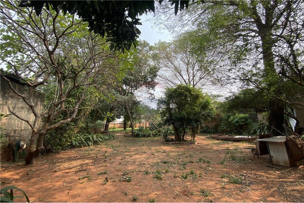 Amplio terreno en zona bruno guggiari — foto 5