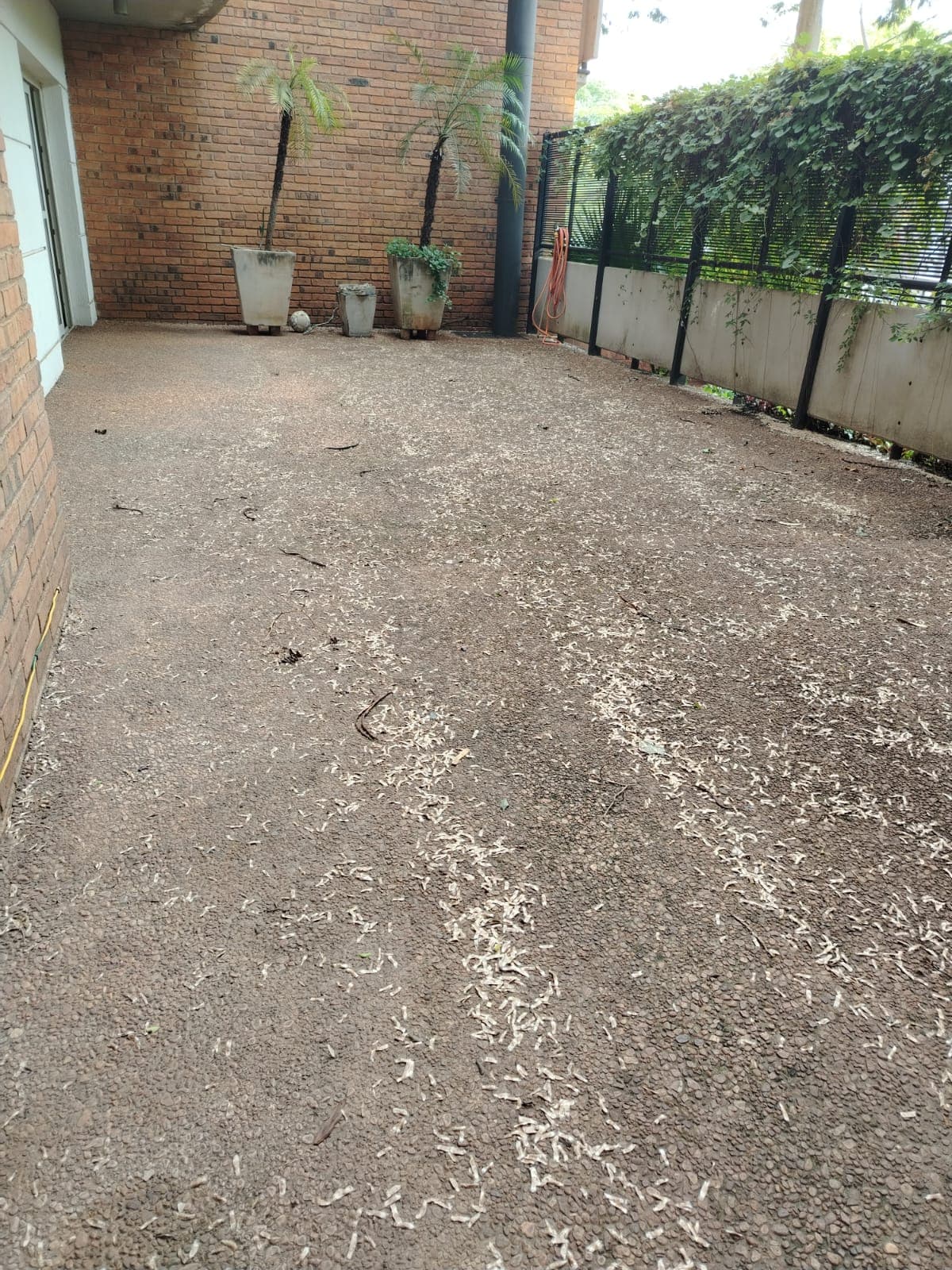 Amplio de 3 habitaciones en Asunción zona ASA, foto 3