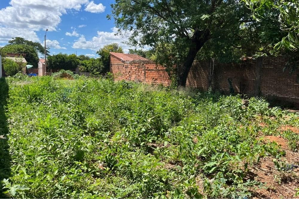 En Venta Terreno Luque — foto 2