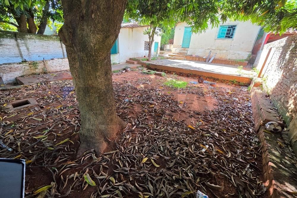 Terreno en Villa Elisa, foto 2