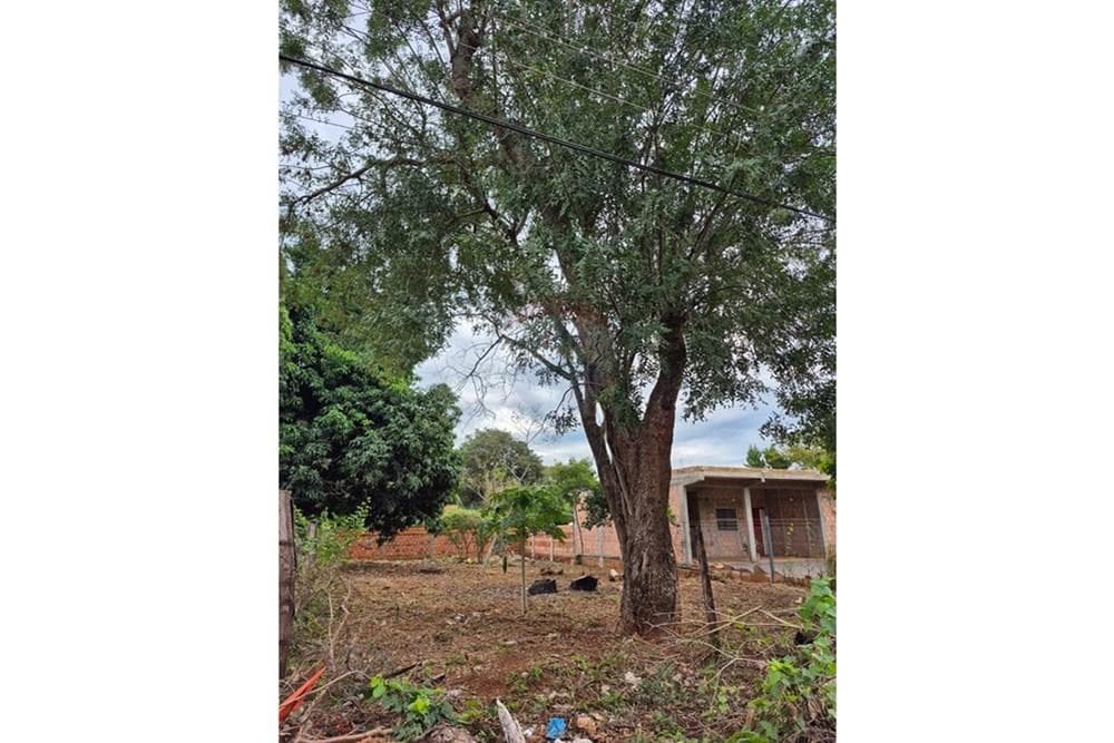 Terreno Ideal para Construir en Capiatá — foto 5