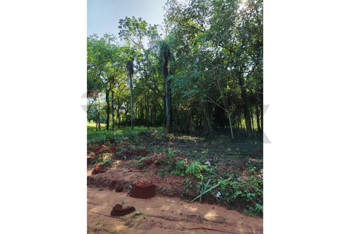 Terreno de 360 m2 en Zárate Isla, Luque, foto 2