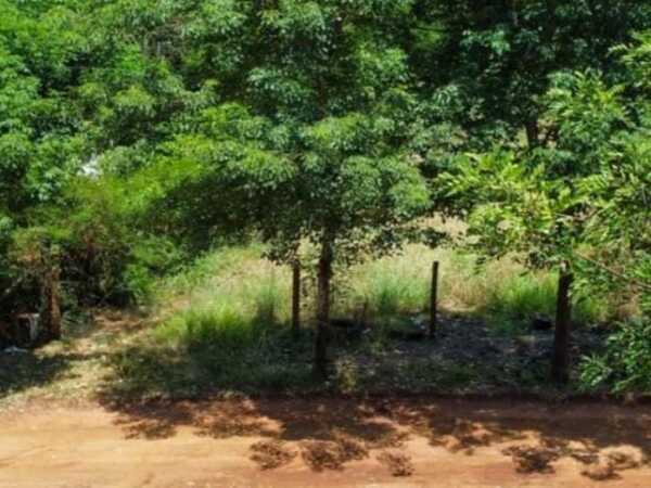 Dos terrenos en mra bº corumba cué, foto 3