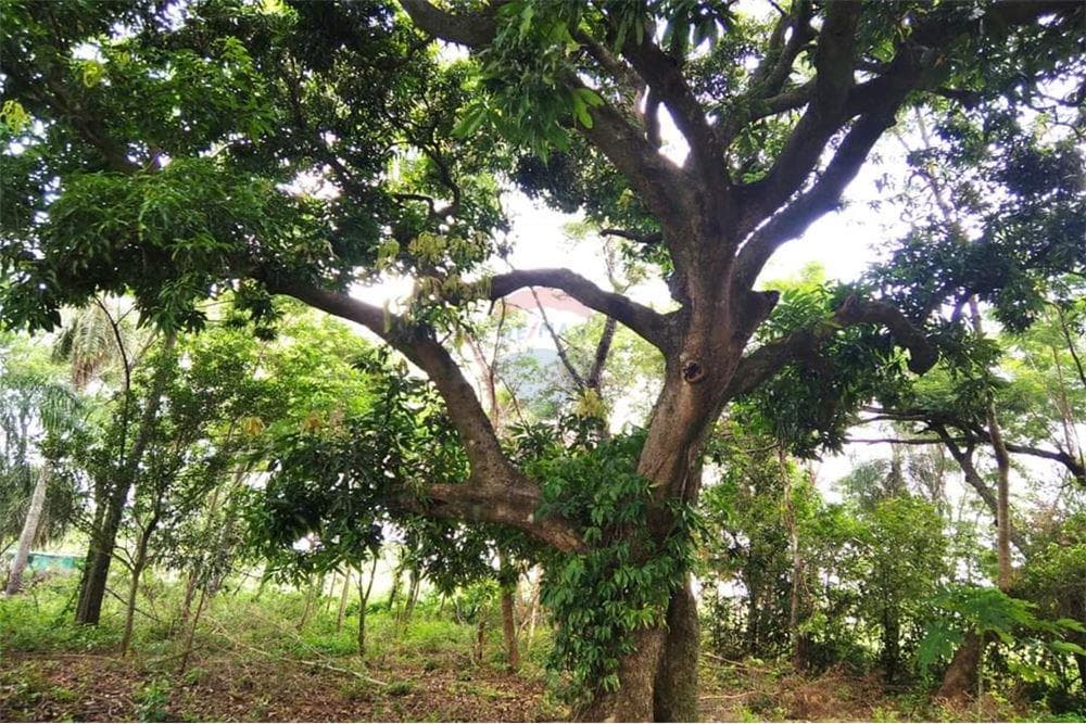 Terreno - Venta - Villeta, Paraguay, foto 2