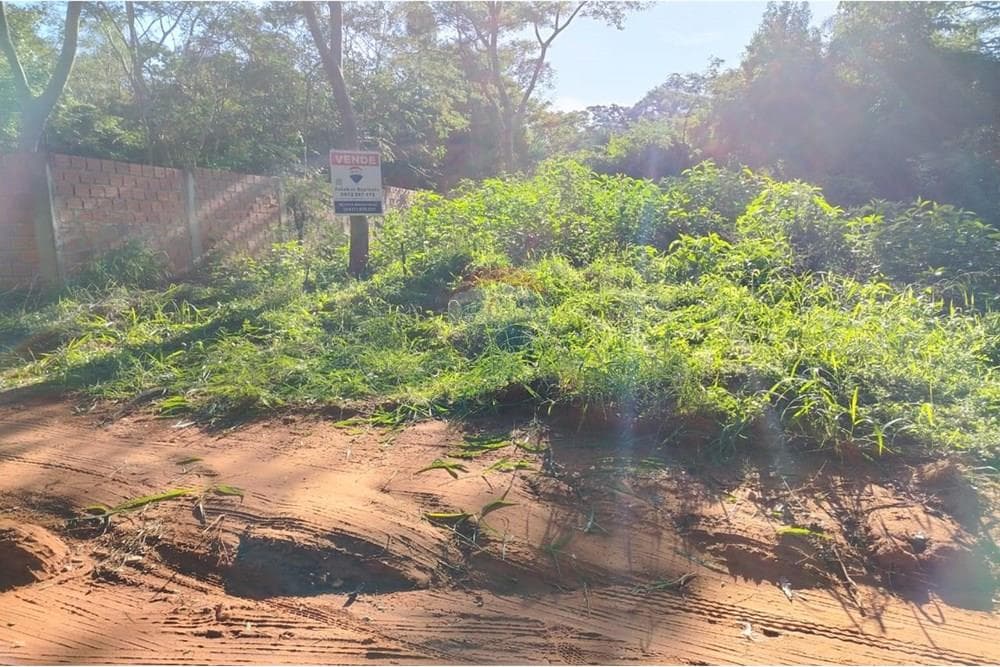 Terreno en Luque zona Ita Angua y Tarumandy, foto 2