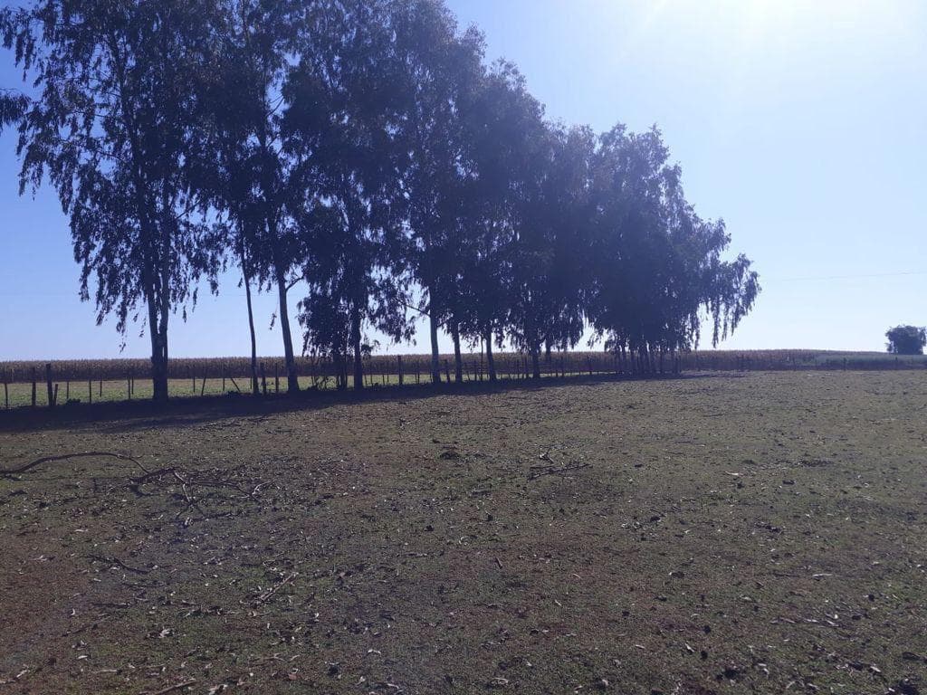 Granja en el centro de Santa Rita en super oferta, foto 5