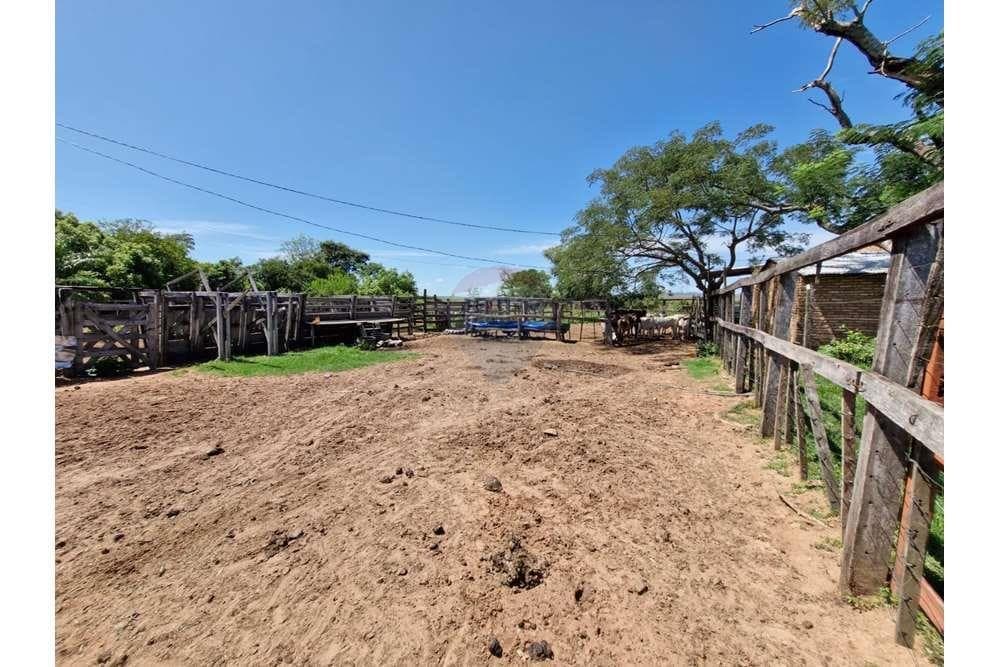 Campo formado sobre ruta en quiindy - ybycui, foto 5