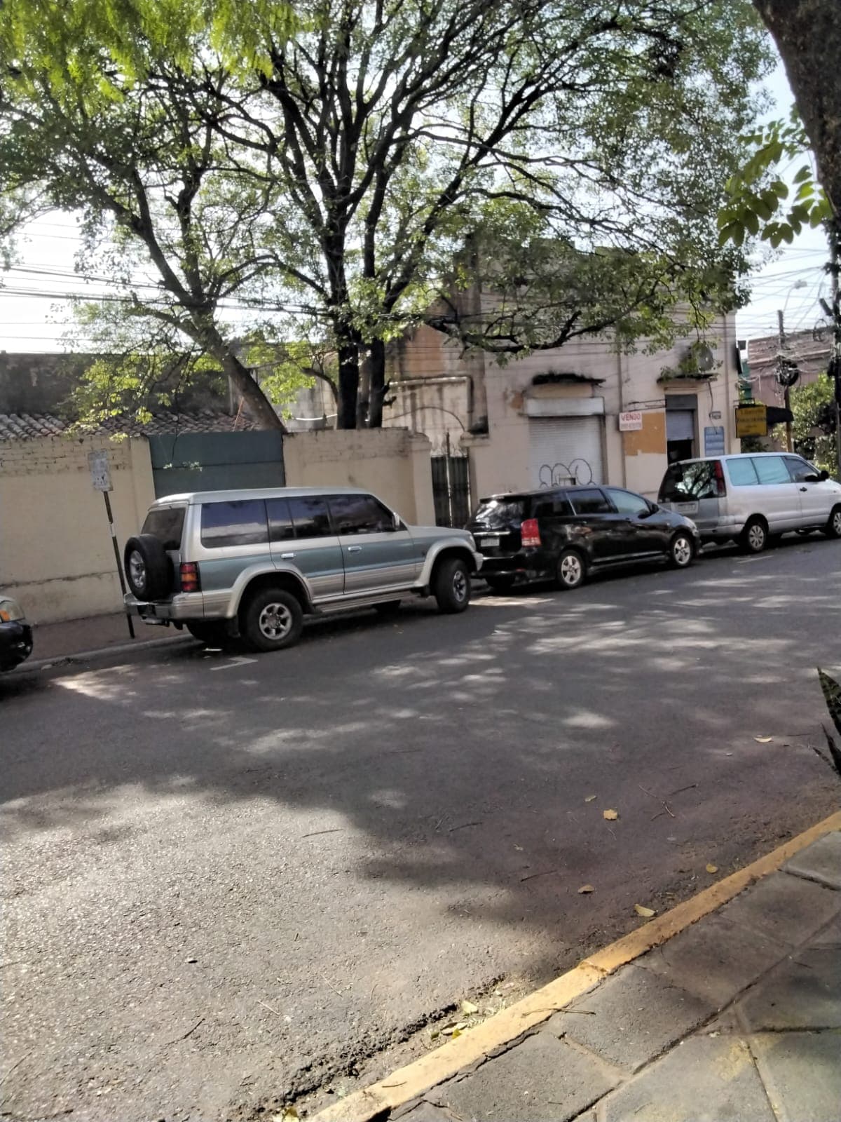 Espéctacular Esquina Para Inversionistas Sobre La Calle Montevideo Y Jejui — foto 5