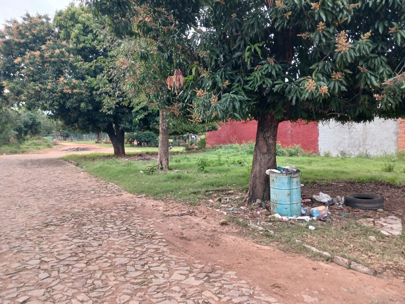 Terreno En Venta, foto 2