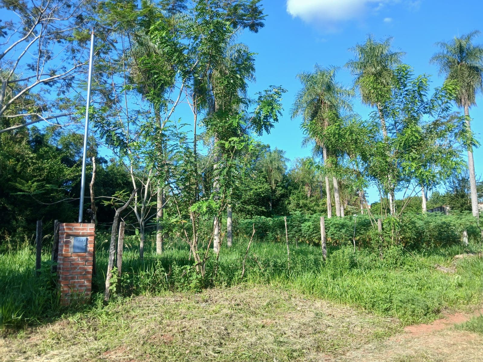 Terreno, foto 5