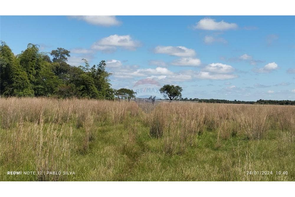 Especial para ganaderia vendo 270ha en ñeembucu estero kamba, foto 4