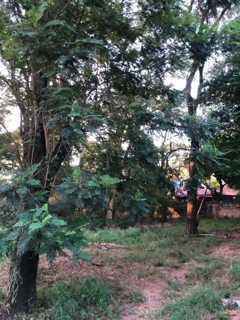 En venta terreno en zona estrategica de Asunción, foto 3