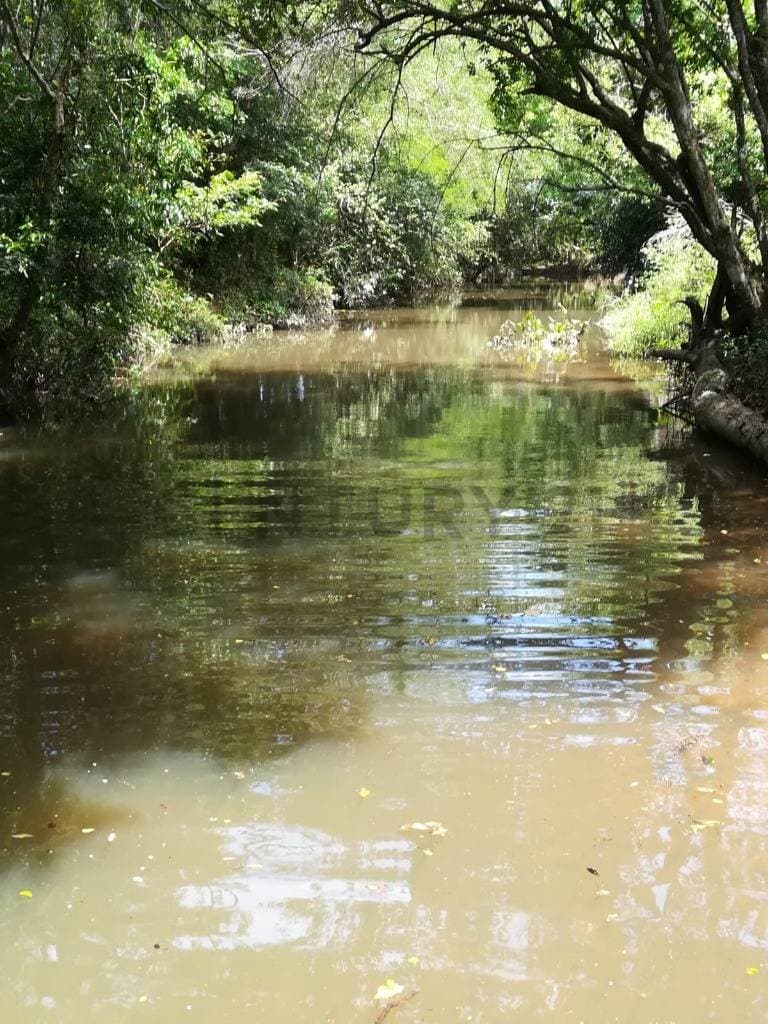estancia en Caapucu - Departamento de Paraguarí — foto 3