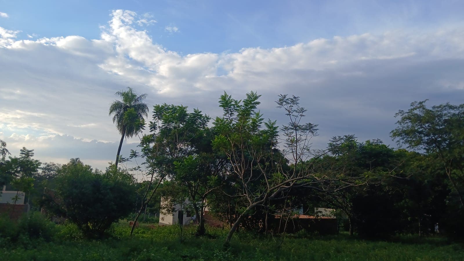 Terreno, foto 5