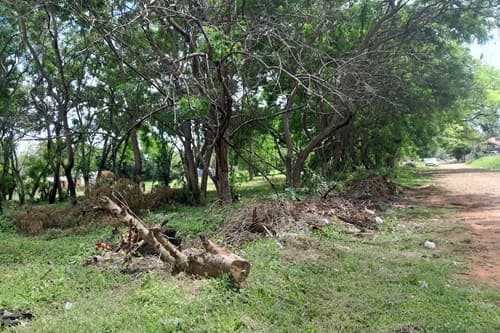 Terreno-Venta-Sauce c/ Herrera, Cerrito, Capiatá, Central, foto 2