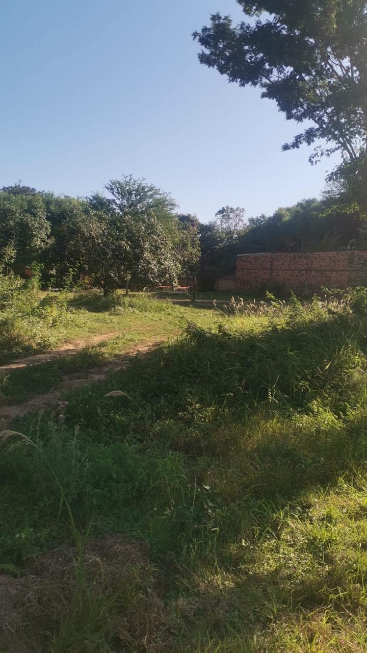 Terreno a pasos de la ruta aregua patiño, foto 2
