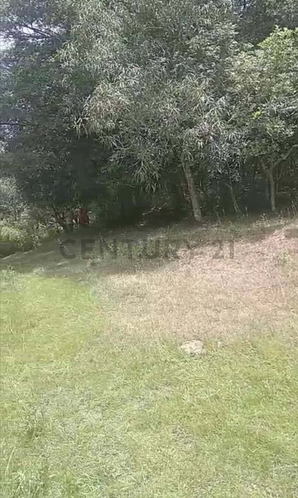 de Propiedad Agrícola en Escobar, Paraguarí, foto 2