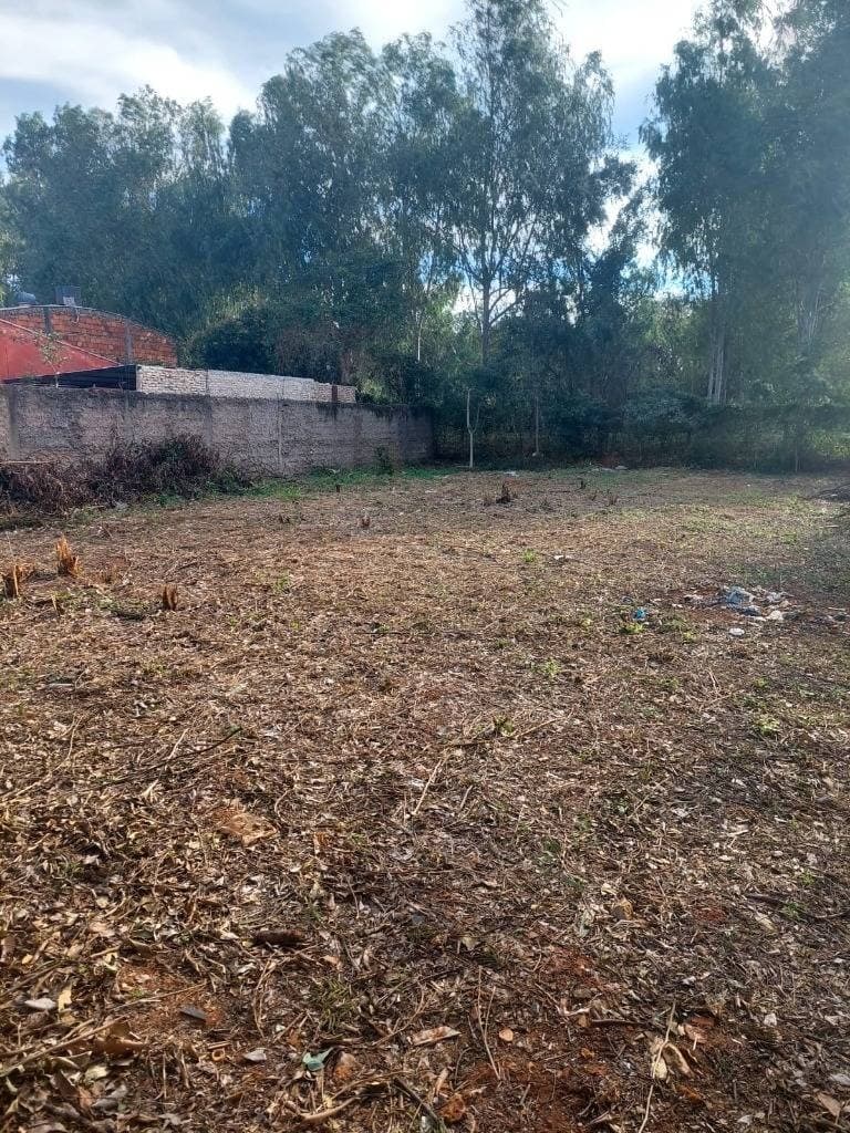 Vendo 3 terrenos juntos en San Lorenzo