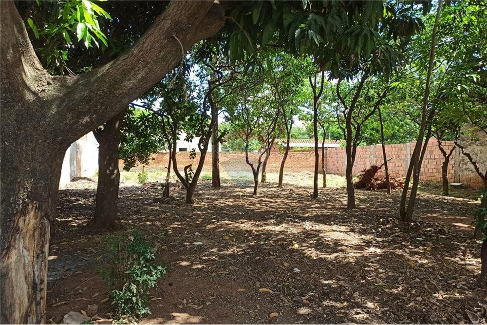 Terreno en San Lorenzo, foto 5