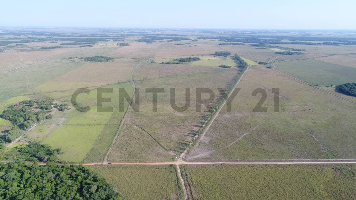 Estancia Ganadera Zona 25 De Diciembre - San Pedro, foto 3