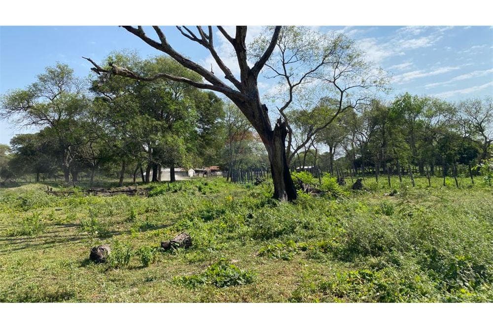 Terreno - Venta - Paraguay Paraguarí Yaguarón, foto 4