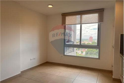 Departamentoe En Edificio Zenith Felix Bogado, foto 3