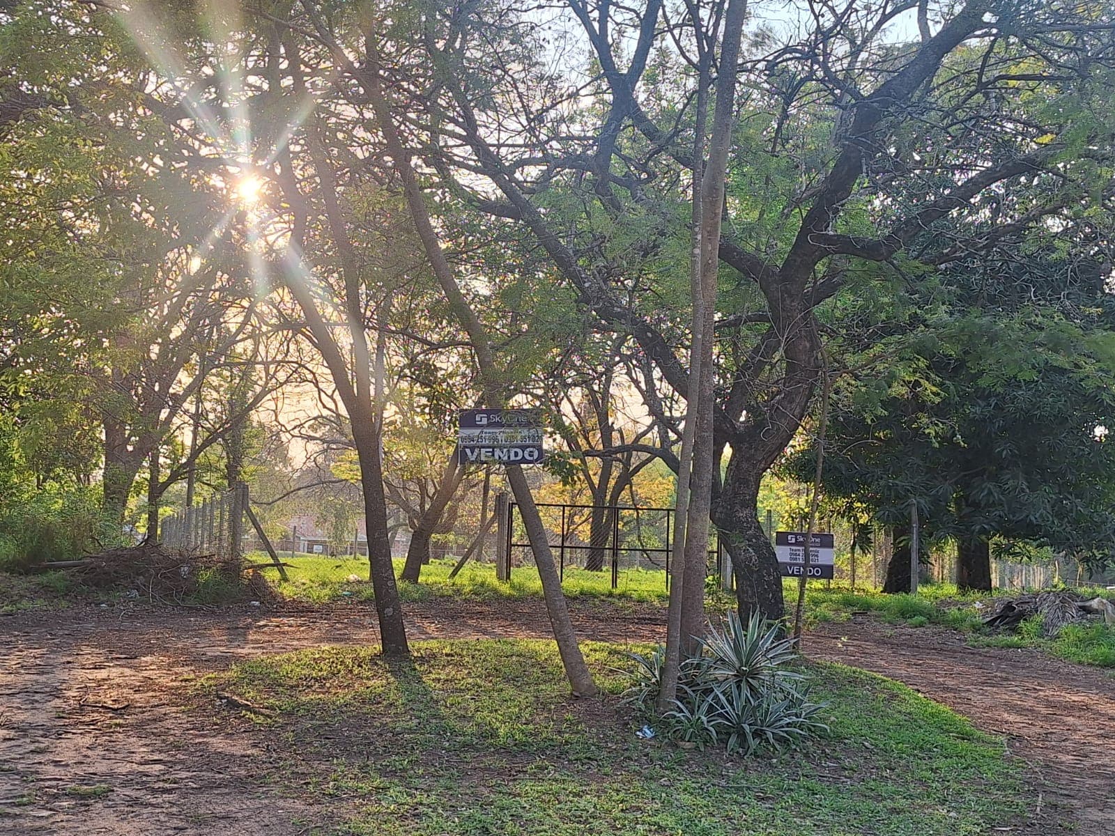 ¡venta de terreno con vista al campo de golf del yacht y golf club! ????✨, foto 5