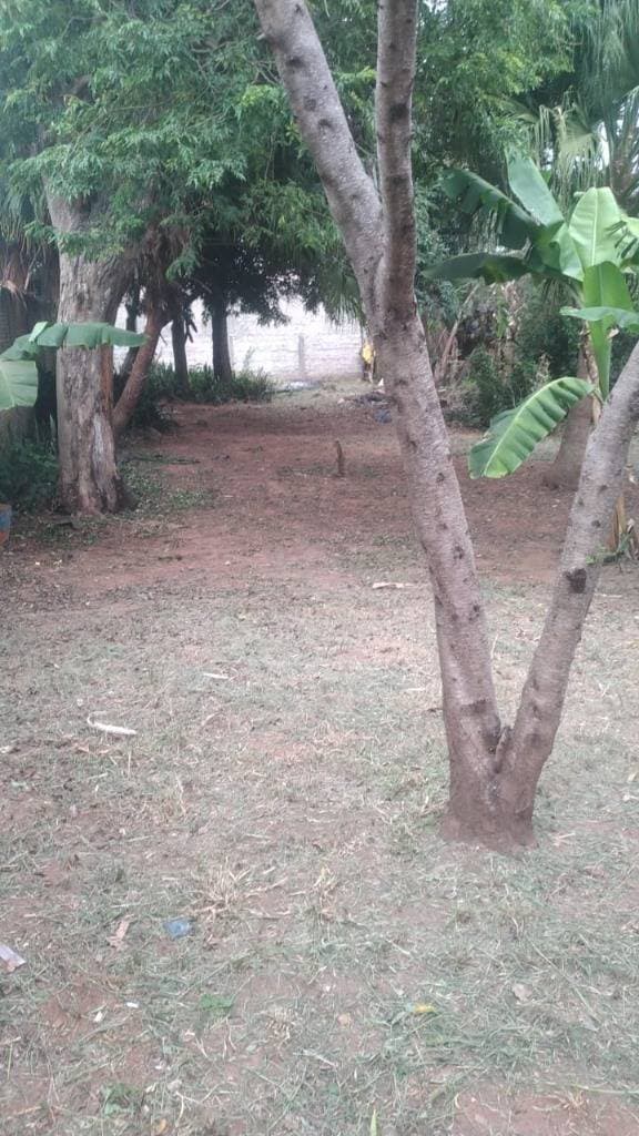 En venta terreno en capiata laurelty, foto 4