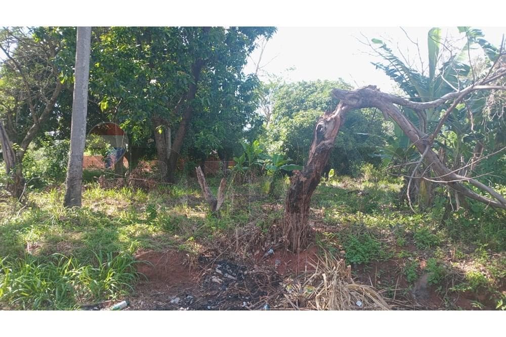 Terreno - Venta - Ñemby, Paraguay, invierte y planifica!, foto 4