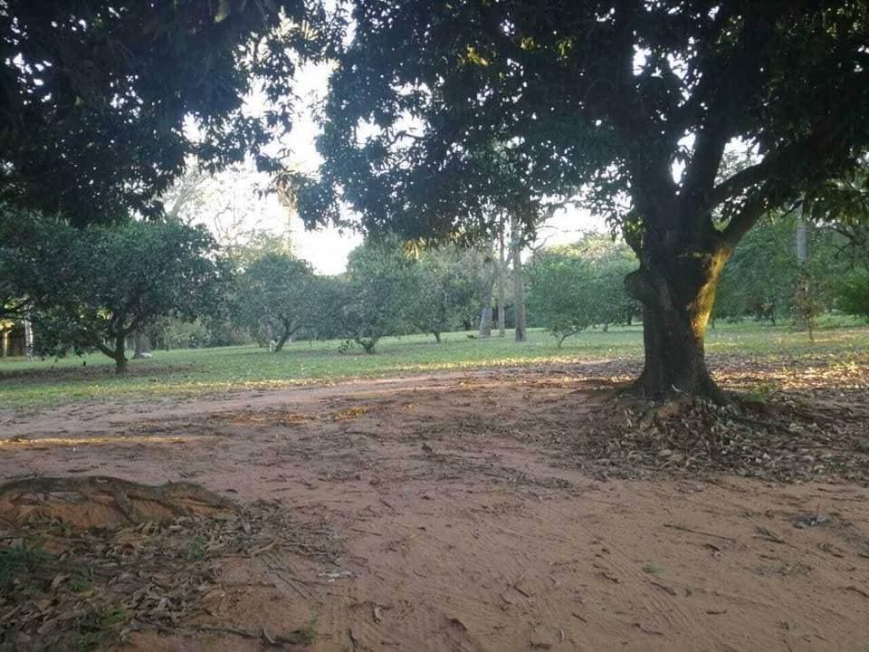 Propiedad en Venta sobre el Río Paraguay, foto 2