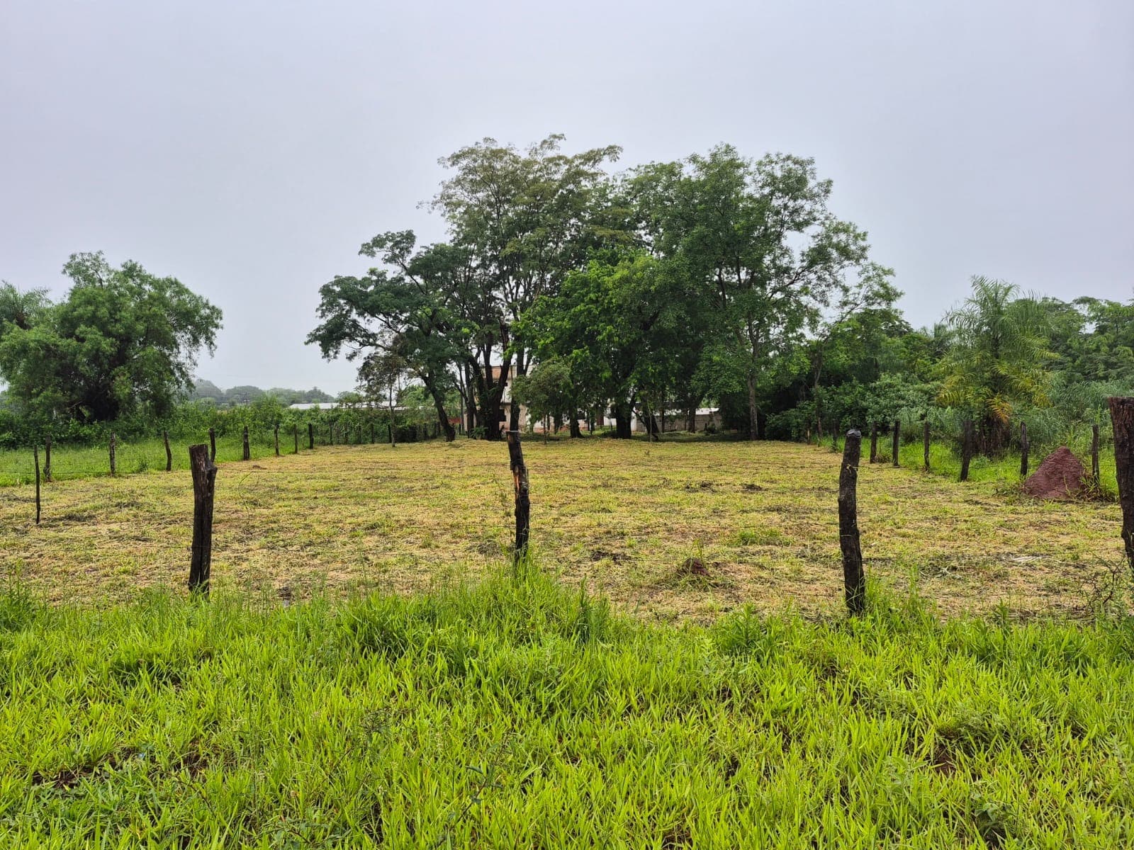 ¡oportunidad en caacupé – terreno en venta!, foto 1