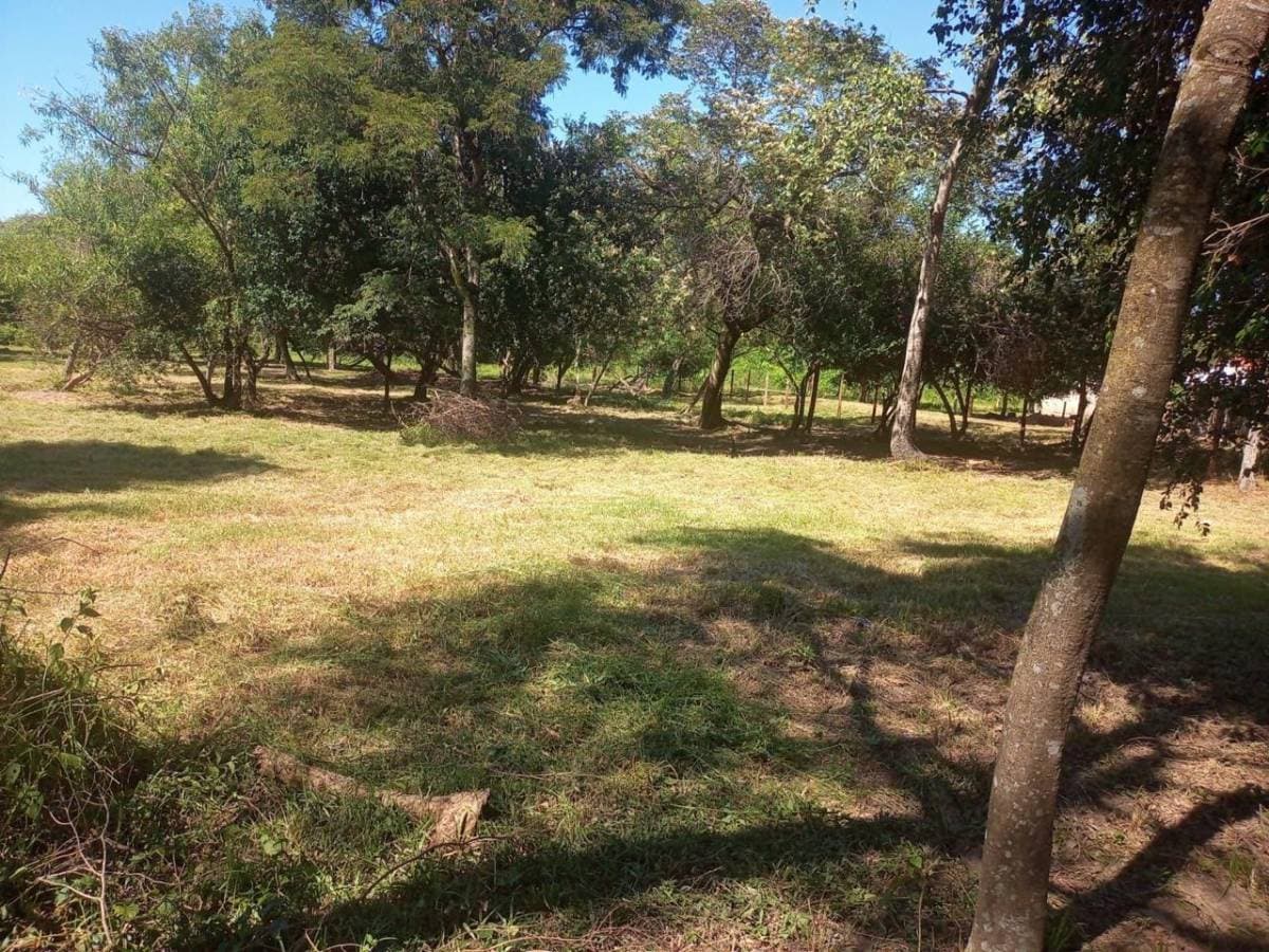 Terreno en San Bernardino- Fraccion ciervo cua- zona Heriberta Matiauda, foto 1