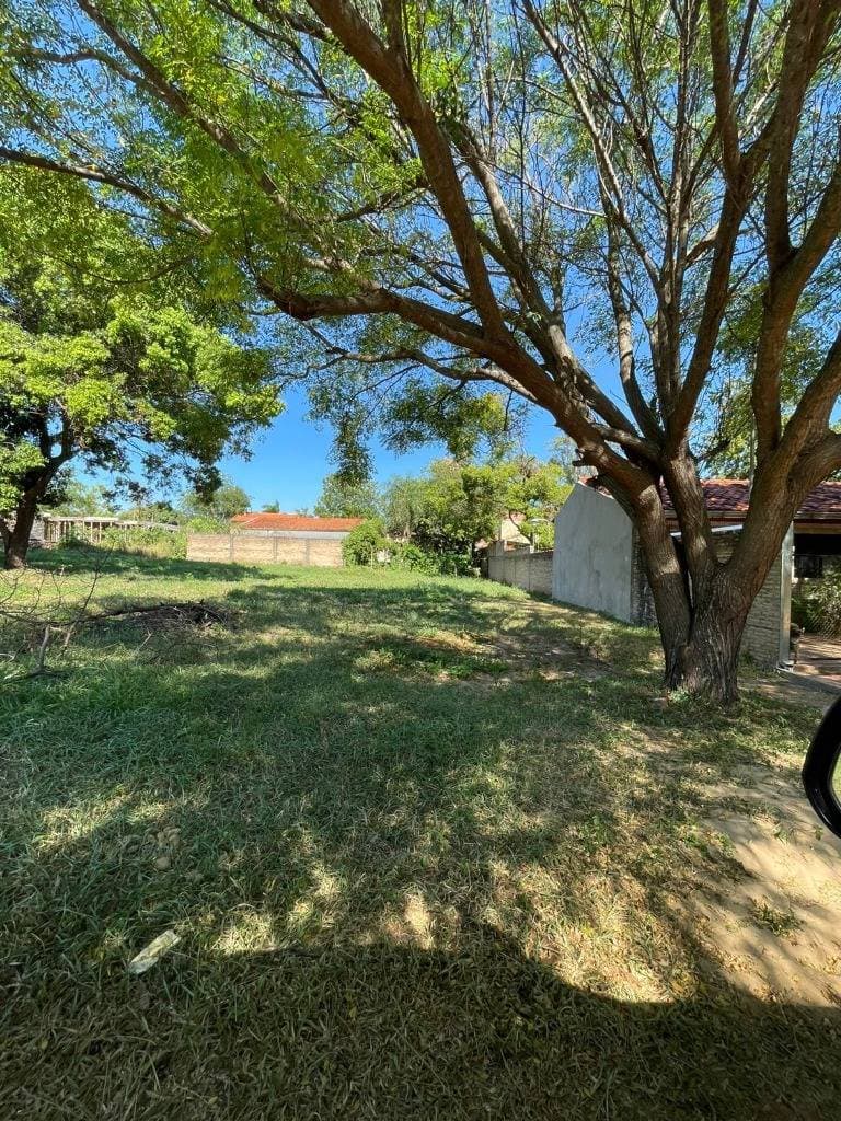 Terreno fresco y arbolado de 372 m² en el Corazón de Luque