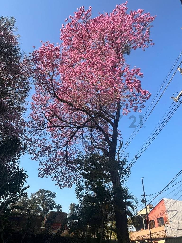 Venta de Terreno en Trinidad, Asunción