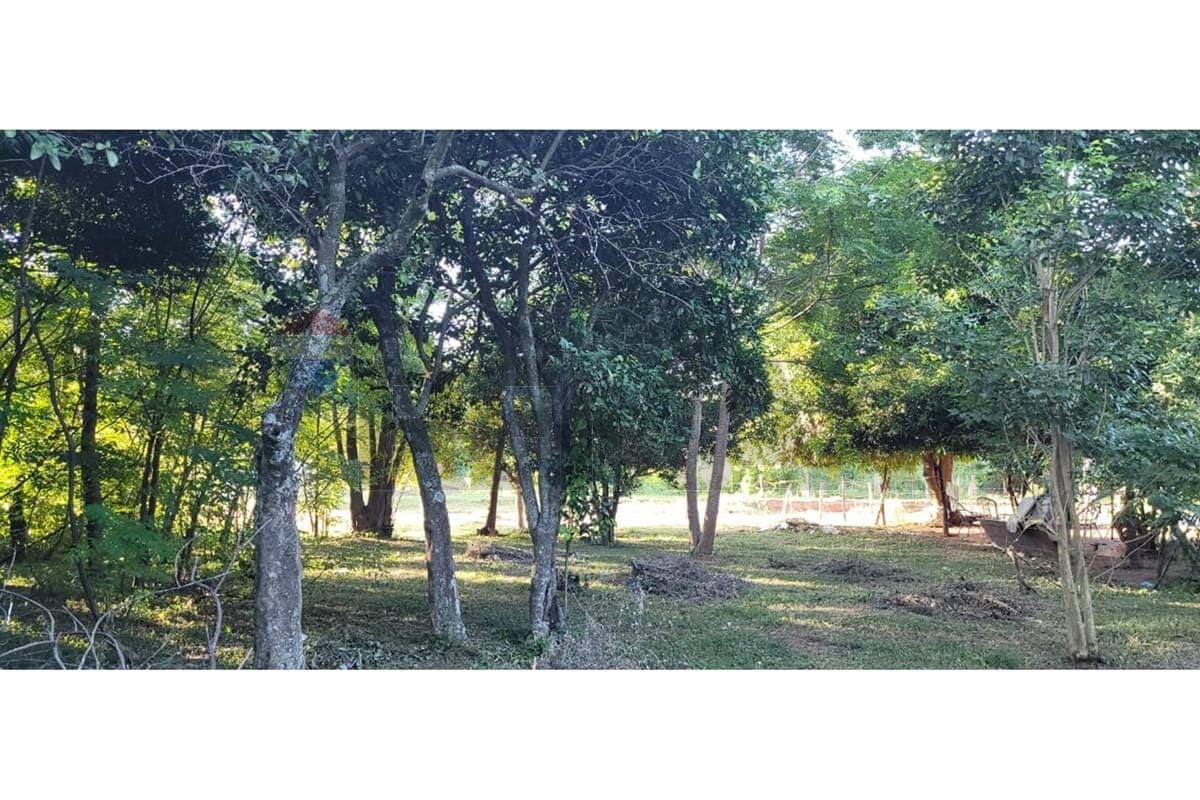 Terreno en paraguari, foto 2