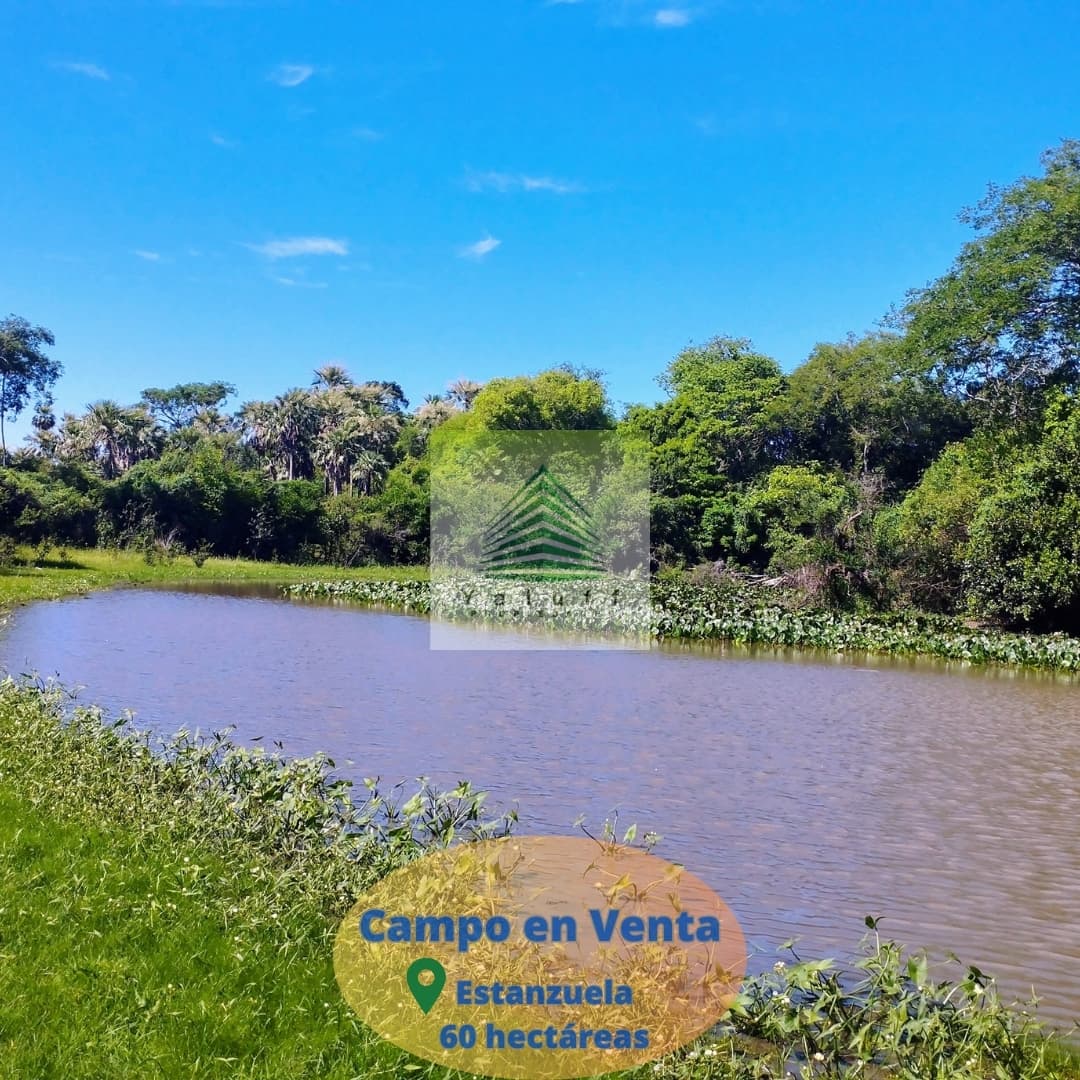 Campo en estanzuela villa oliva de 60 has para ganadería — foto 4