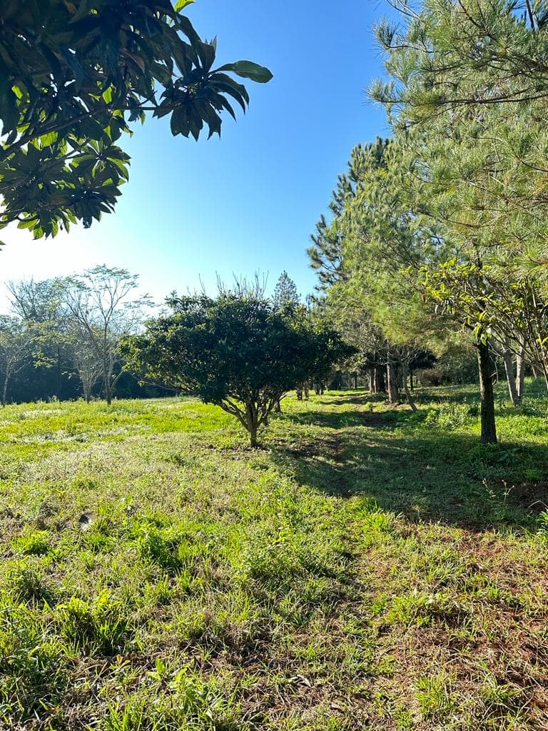 Terreno en minga guazu lado acaray, foto 5