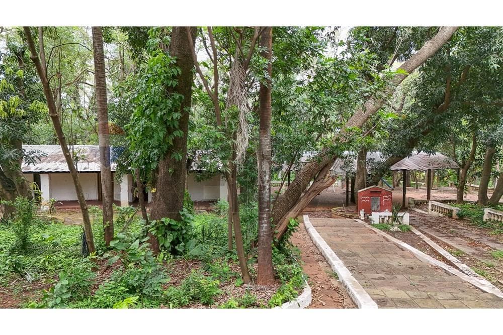 Terreno - Venta - Villa Elisa, Paraguay, foto 3