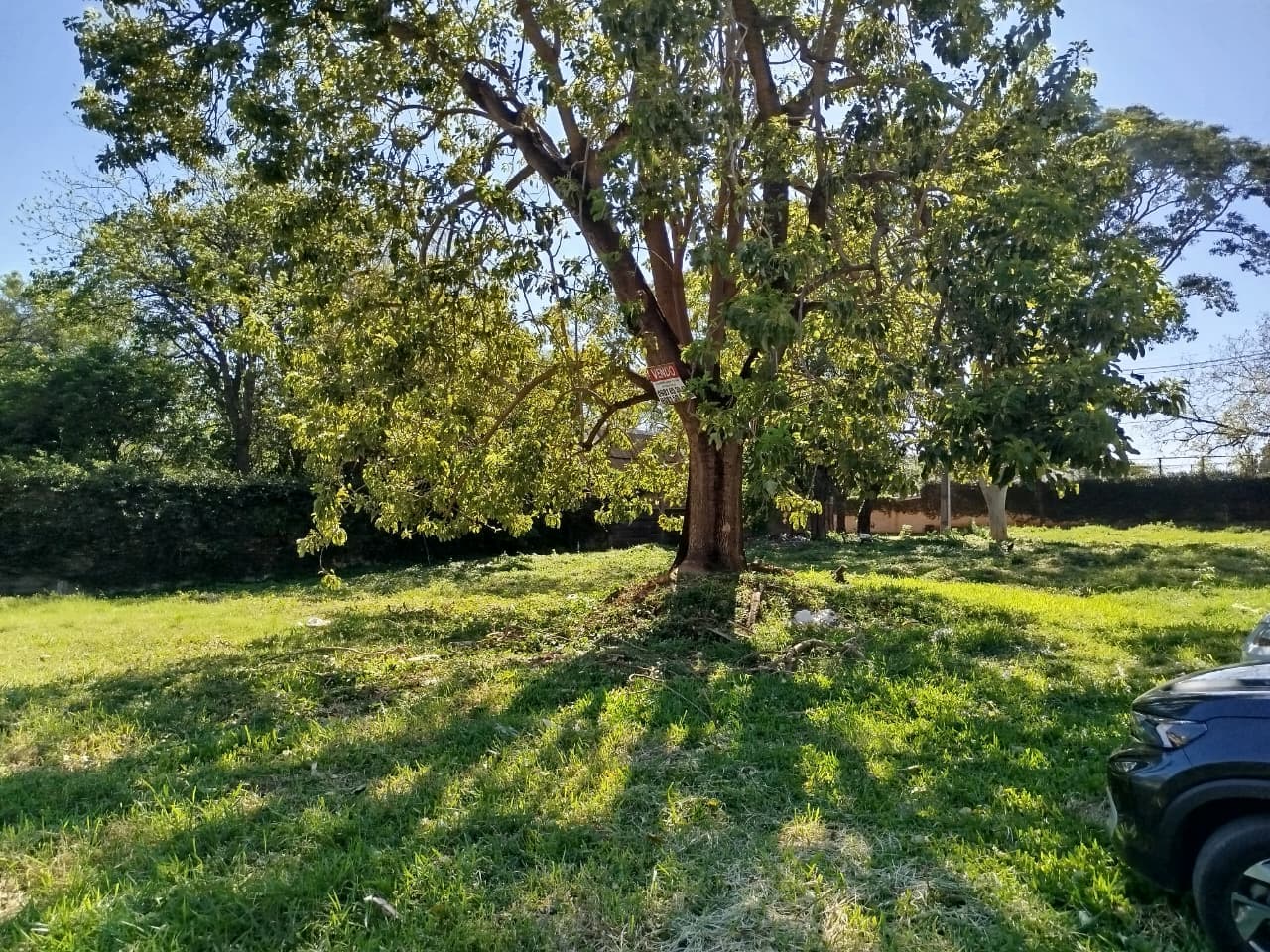 Terreno En Esquina Sobre Avda. Curiel – San Lorenzo — foto 4