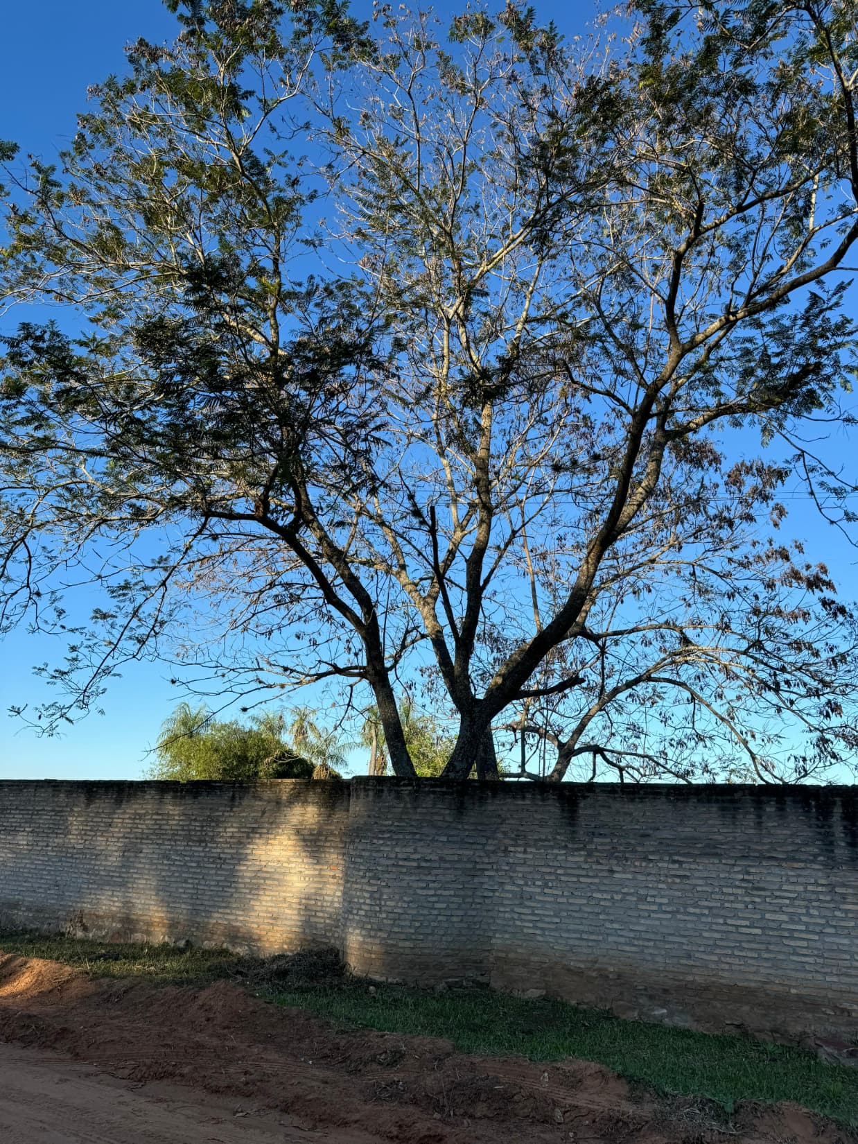 Importante terreno en Luque zárate isla 8064 m2 — foto 5