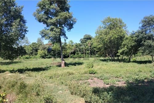 Terreno - Venta - Nueva Germania, San Pedro, Paraguay, foto 5